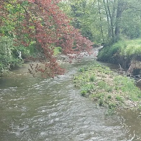 ベッド・アンド・ブレックファスト Au Doux Chardon デュルビュイ