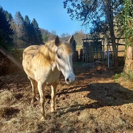 Au Doux Chardon Couette-café