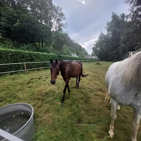 Au Doux Chardon 4* Durbuy