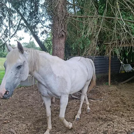 Au Doux Chardon Durbuy