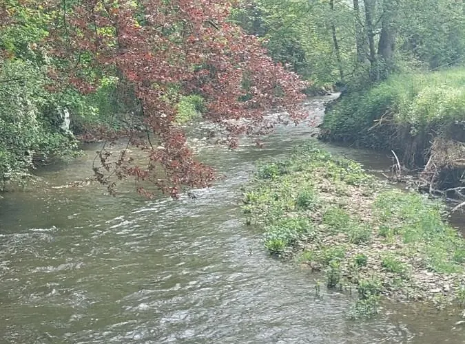 Bed & Breakfast Au Doux Chardon Durbuy