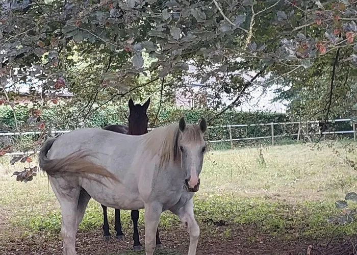 Bed & Breakfast Au Doux Chardon 4*